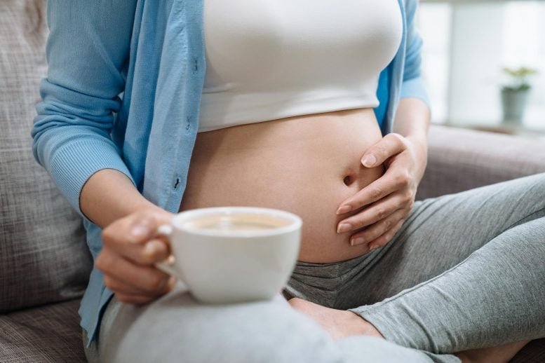 kahvehamilelikgebelik brifcomtr image Hamilelikte kaçınılması gereken gıdalar