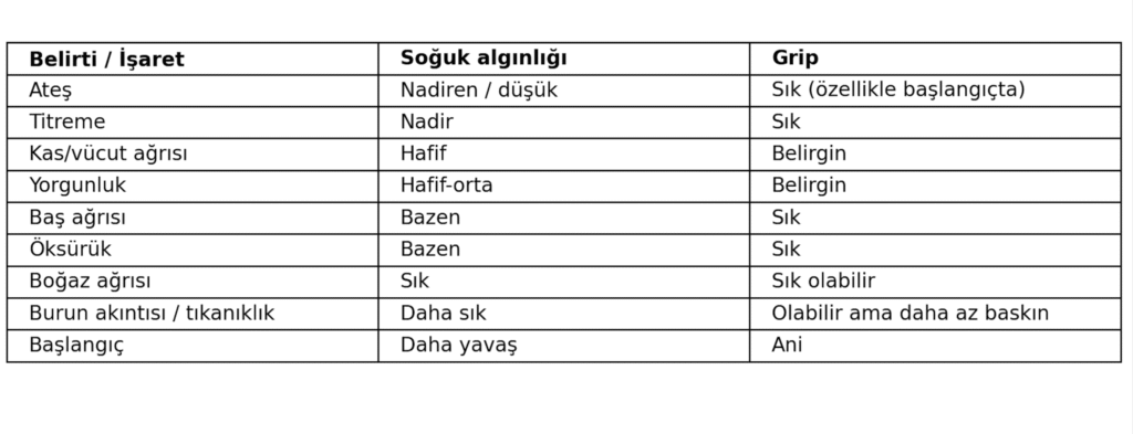 Grip mi soğuk algınlığı mı Belirtiler ve farklar neler