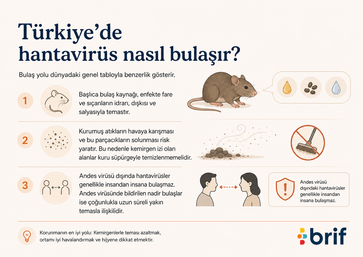 Hantavirüs nedir nasıl bulaşır Belirtileri neler